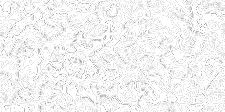 Gray topographic map contour lines on white background texture pattern