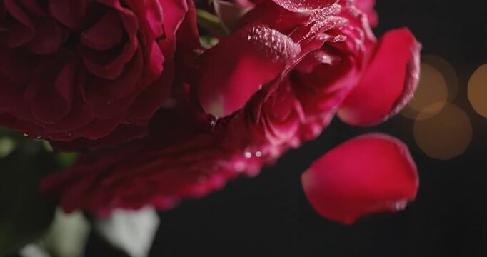 Closeup of red roses bouquet petals.
