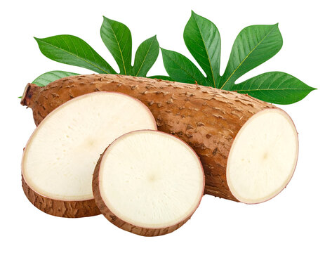 cassava isolated on transparent png