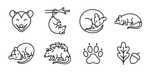 Fototapeta premium Opossum Vector Line Art Icon Set Minimalist Outline Possum Illustration Hanging, Sleeping, Mother with Babies, Paw Print, Leaf and Acorn for Wildlife Animal Nature Logo Designs