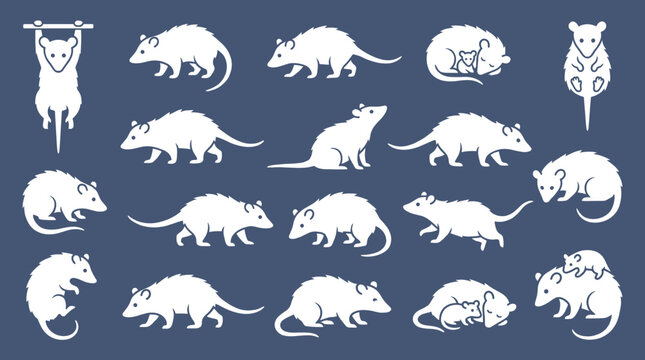 Opossum vector white silhouette set on dark background. Possum icons in various poses walking, hanging, sleeping, and mother carrying babies for wildlife animal design.