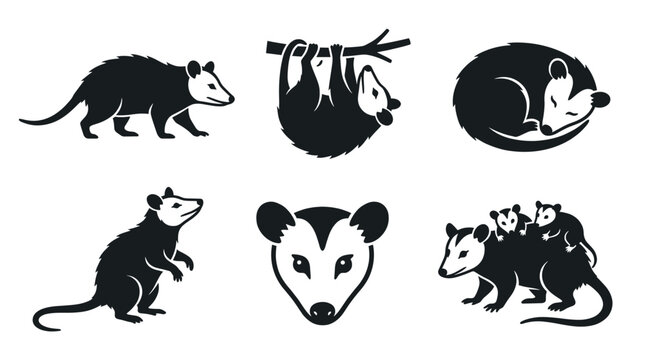 Opossum Vector Set Graphic Black and White Illustration of Possum Walking, Hanging, Sleeping, and Mother Carrying Babies for Wildlife Animal Icon Logo Design Elements Isolated