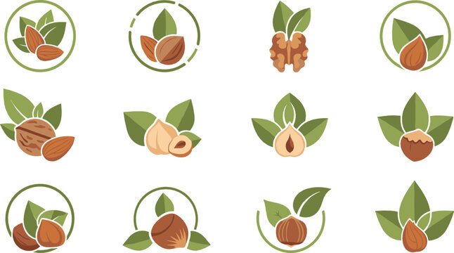 Nut and leaf icon collection with almond, hazelnut, and walnut symbols representing organic food, agriculture, and healthy natural products illustrated in flat vector style