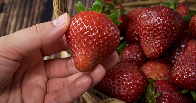 fresa, fruta, alimento, baya, aislada, rojo, fresco, madura, blanco, salubre, bombones, postre, verde, jugosa, macro, close-up, hojas, organica, dieta, objeto, frescor, naturaleza, delicioso