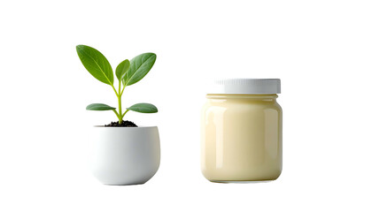 Potted Plant and Jar of Cream.