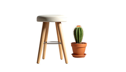Wooden Stool with White Cushion and Potted Cactus.
