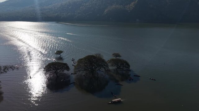 Chamcha at Mae Ngat Somboon Chon Dam, Chiang Mai, Thailand