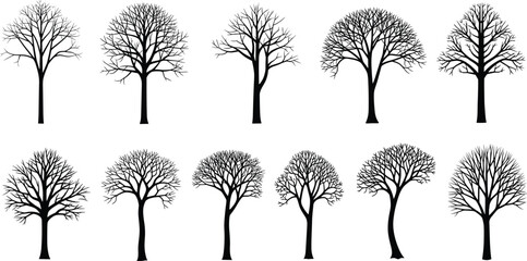 Fototapeta premium Bare tree silhouette illustration set featuring leafless winter trees, black natural plant shapes isolated on white background for nature, forest, and seasonal design concepts