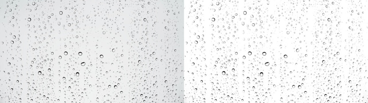Water drops Rain droplets shower condensation window - Moisture glass bead texture isolated PNG transparent background