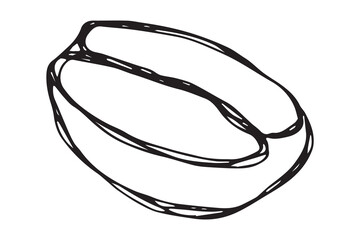 Hand drawn fresh roasted coffee bean Arabica robusta seed doodle Single element for print, web, design, decor