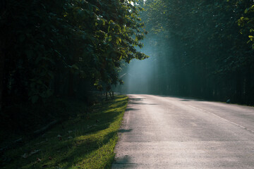 Fototapeta premium Logistics truck driving on an asphalt road through a forest in West Java, Indonesia, with golden sunlight filtering through the trees.