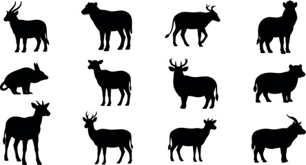 Fototapeta premium Collection of various antelope and deer silhouettes in different poses
