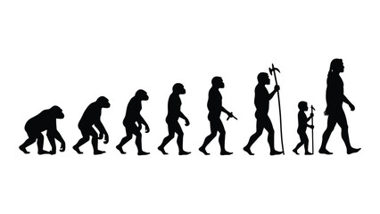 Evolution of humans from primates to modern man illustrated in silhouette isolated on white background, Vector © SILHUETTECHEMBER