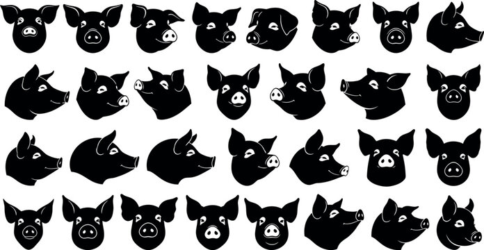 Collection of Black Pig Head Silhouettes Vector Set for Farm and Food Design