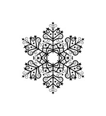 Fototapeta premium Elegant Intricate Snowflake Vector Art Design