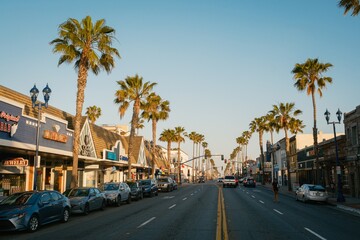Obraz premium Palm trees along Coast Highway in Oceanside, California
