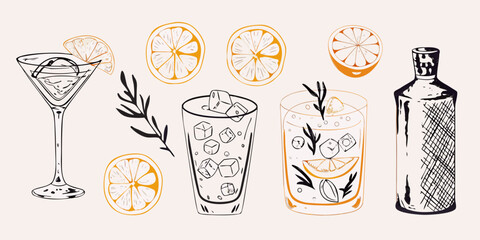 A collection of cocktail illustrations with citrus fruit and bottles © Nasir