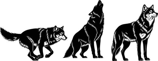 Wolf vector illustration set, realistic howling and standing wolf silhouettes with detailed fur, majestic predator animal icons isolated on white background. © Ahsan
