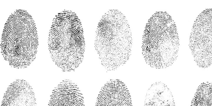 Grungy Ink Fingerprint Texture Set Abstract Rough Dirty Identity Pattern Vector Background Illustration Bundle.