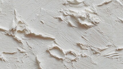 Obraz premium Paint texture, thick impasto strokes, white on white, relief background