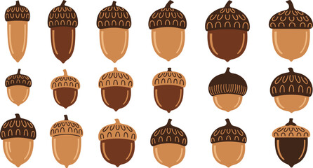 Brown Acorn Vector Collection with Oak Nuts in Different Shapes and Shades for Autumn Harvest Design, Fall Decoration, and Woodland Illustration © Sanjida