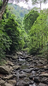 Rocky Stream Flowing Through Tropical Forest at Pa La U Waterfall, Thailand