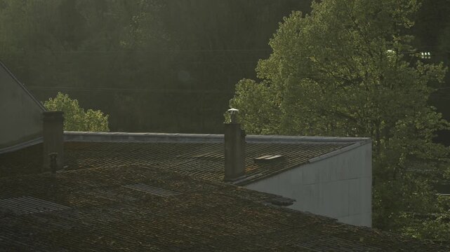 Flat roof with chimney in a European house design exterior with warm sunlight