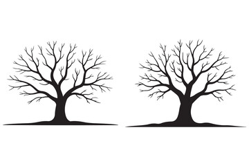 Obraz premium Leafless winter tree black silhouette isolated natural landscape design 