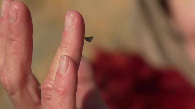 Splinter finger removal person carefully extracts a small dark thorn from their skin during a day outdoors for minor first aid
