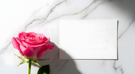 Pink rose on marble background with blank card