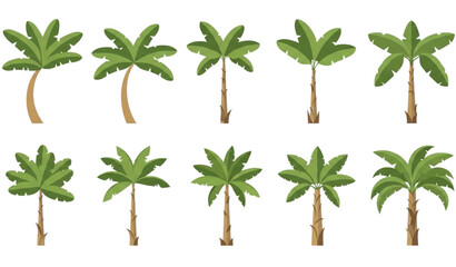 Flat banana tree collection vector set with tropical garden plants isolated on white background for decorative and eco design © Nur