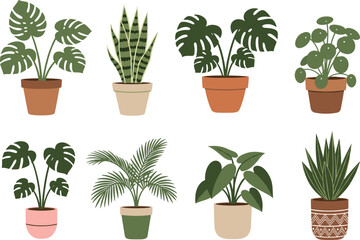 Obraz premium Vector illustration of a potted snake plant with green striped leaves and blooming pink flowers in a white striped ceramic pot