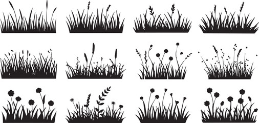 Dune grass and plant silhouettes © Icons Queen