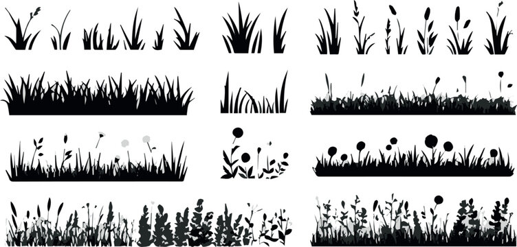 Seedhead and grass silhouettes from prairie