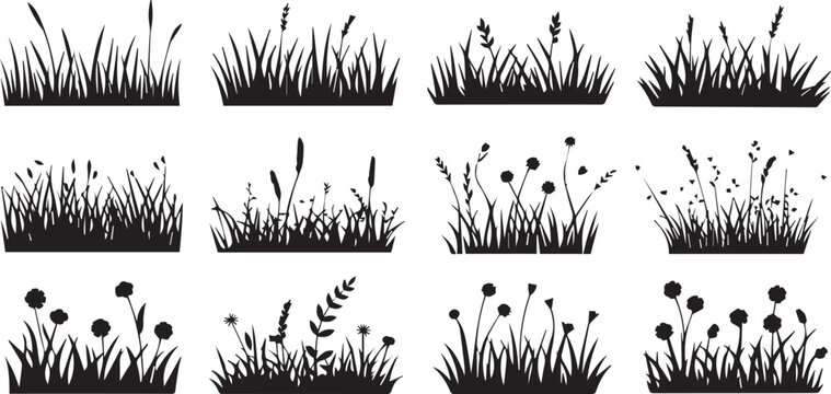Dune grass and plant silhouettes