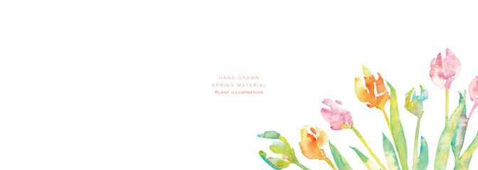 水彩画。水彩タッチのチューリップ背景。チューリップの春背景ベクターイラスト。Watercolor painting. Watercolor tulip background. Spring background vector illustration of tulips.