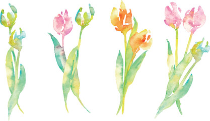 水彩画。水彩タッチのチューリップ背景。チューリップの春背景ベクターイラスト。Watercolor painting. Watercolor tulip background. Spring background vector illustration of tulips.