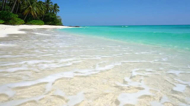 A pristine white sand beach meets clear turquoise water under a vibrant, cloudless blue sky