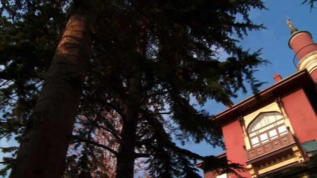 Revealing Ozbekler Tekkesi Mosque by Rotating Around a Large Pine Tree