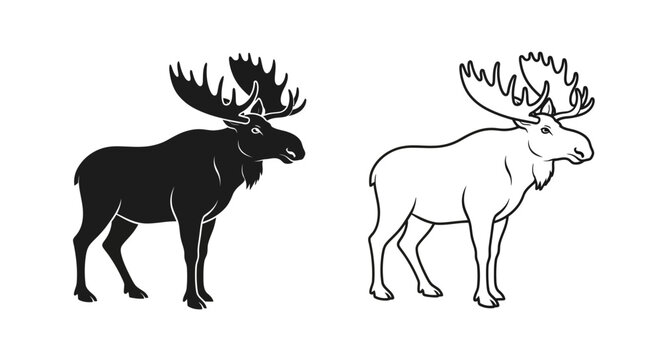 Two moose black and white illustration vector art design Vector