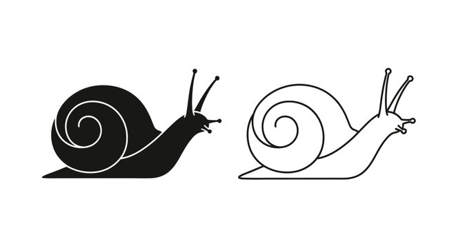Two snails illustration, minimalist snail drawing, vector snail art, simple snail sketch Vector