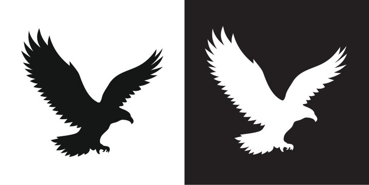Eagle silhouette vector illustration,  eagle icon illustration.