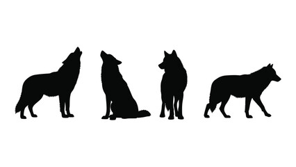Four wolves in different poses against a white background isolated on white background, Vector © SILHUETTECHEMBER