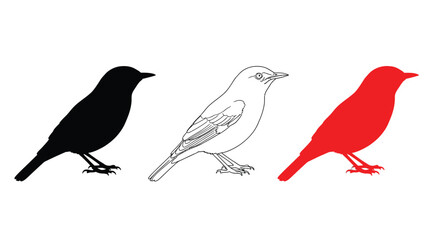 Fototapeta premium Three bird depictions in varying styles including a dark silhouette