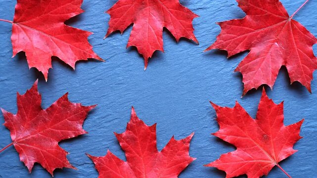 Seven vibrant red maple leaves artfully arranged in a circle on a textured blue surface