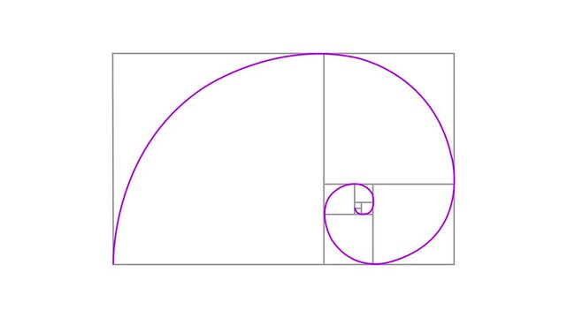 Fibonacci spiral golden ratio geometric shape mathematical concept purple animation background
