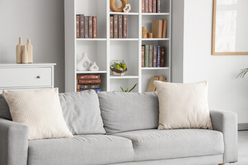 Interior of modern living room with sofa and bookshelves © Pixel-Shot