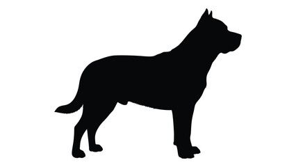 Obraz premium Silhouette of a powerful dog breed standing confidently against a white background isolated on white background, Vector