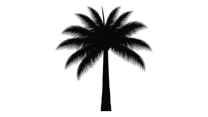 A solitary palm tree stands tall against a white background in a minimalist design. isolated on white background, Vector © JASMIN