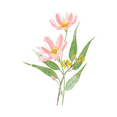 watercolor leaf and flower. Botanical illustration minimal style